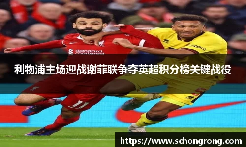 bb贝博bellbet官方网站